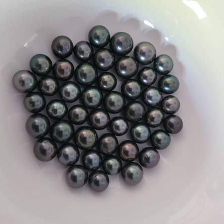 Loose Tahitian Pearls of Natural Dark Color and High Luster, Size of 10-11 mm -  The South Sea Pearl