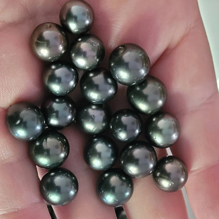 Loose Tahitian Pearls of Natural Color and Luster, Size of 10-11 mm -  The South Sea Pearl