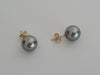 18K Tahitian Pearl Earrings, Manufactured in 18K Solid Yellow Gold, Sizes from 9 to 11mm -  The South Sea Pearl
