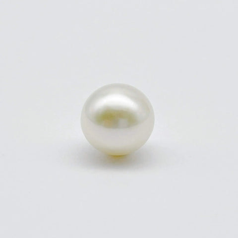 South Sea cultured pearl jewellery 12.7mm semi-round (Pinctada maxima) — The South Sea Pearl