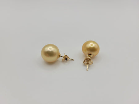 Golden South Sea Pearl Earrings 11 mm 18 Karat Gold - The South Sea Pearl