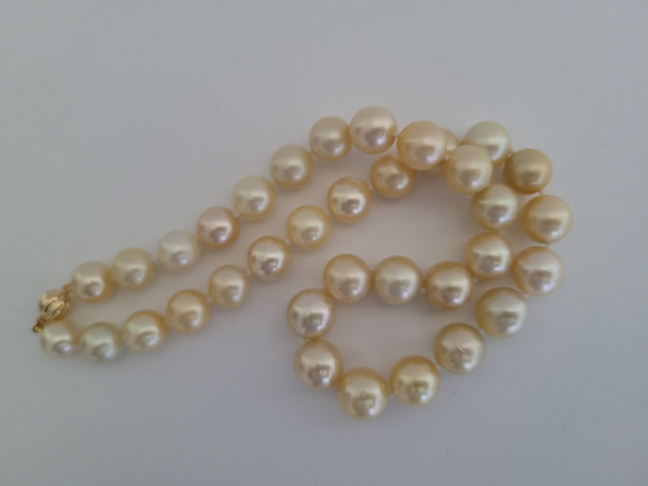 Golden South Sea Pearls 10-12 mm, Round 18 Karat Gold - Only at  The South Sea Pearl