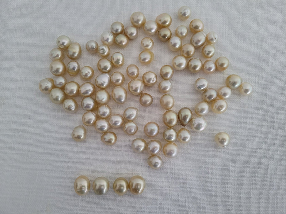 Loose South Sea Pearls Teardrop 10-12 Natural Color - Only at  The South Sea Pearl