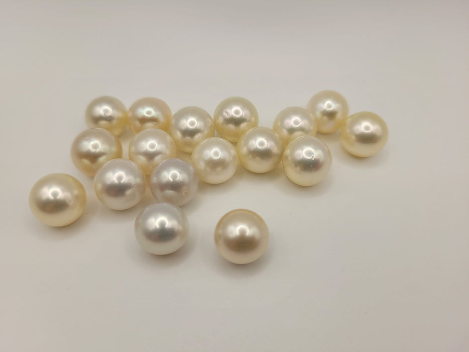 South Sea Pearls 11 mm Natural and High Luster wholesale Lot - Only at  The South Sea Pearl