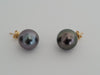 Tahiti Pearl 13 mm Earrings 18 Karat Solid Gold - The South Sea Pearl