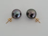 Tahiti Pearl 13 mm Earrings 18 Karat Solid Gold - The South Sea Pearl