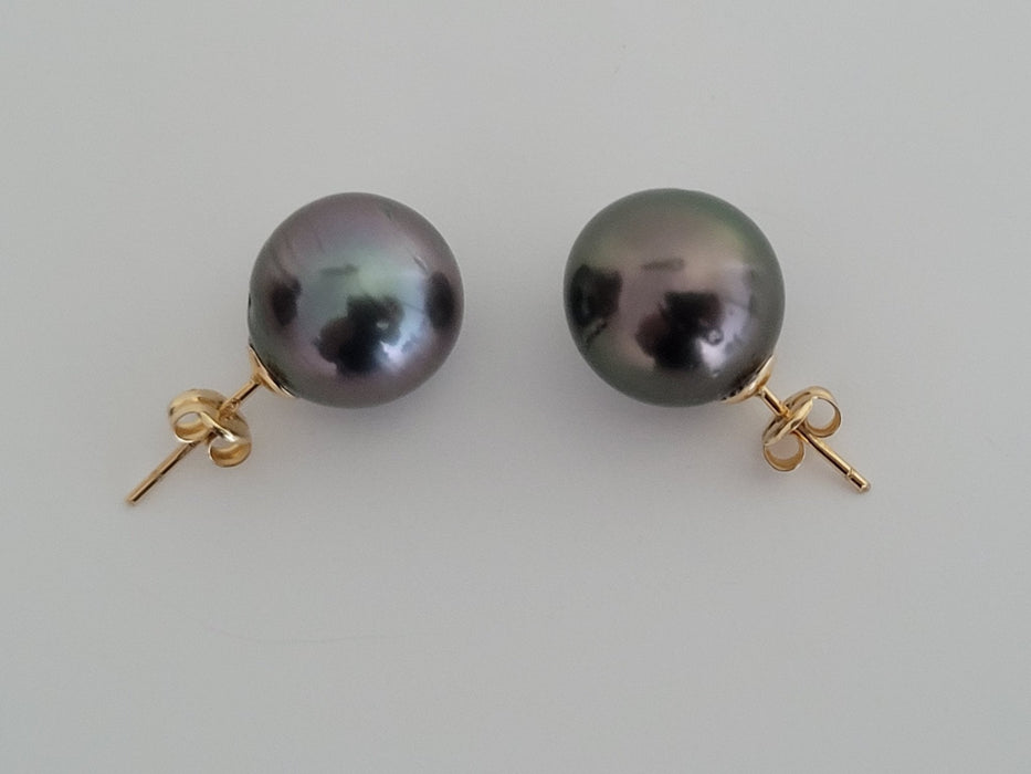 Tahiti Pearl 13 mm Earrings 18 Karat Solid Gold - The South Sea Pearl